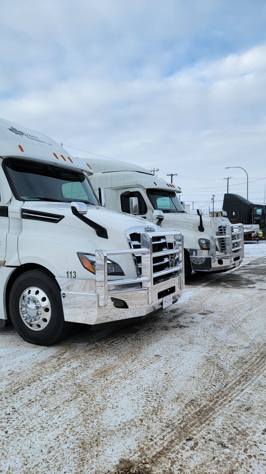 Freightliner Cascadia Grill Guard
