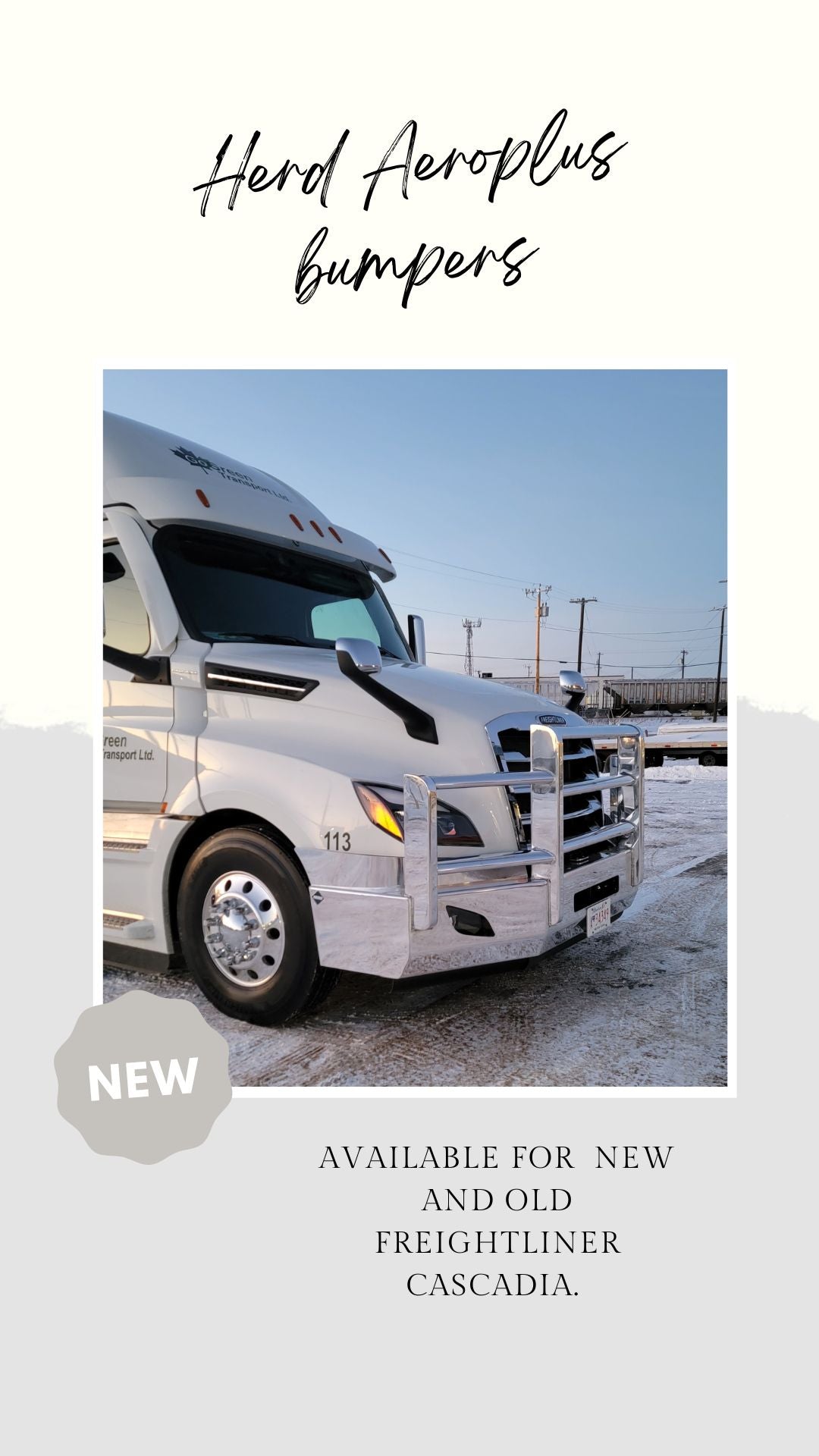 Freightliner Cascadia Grill Guard