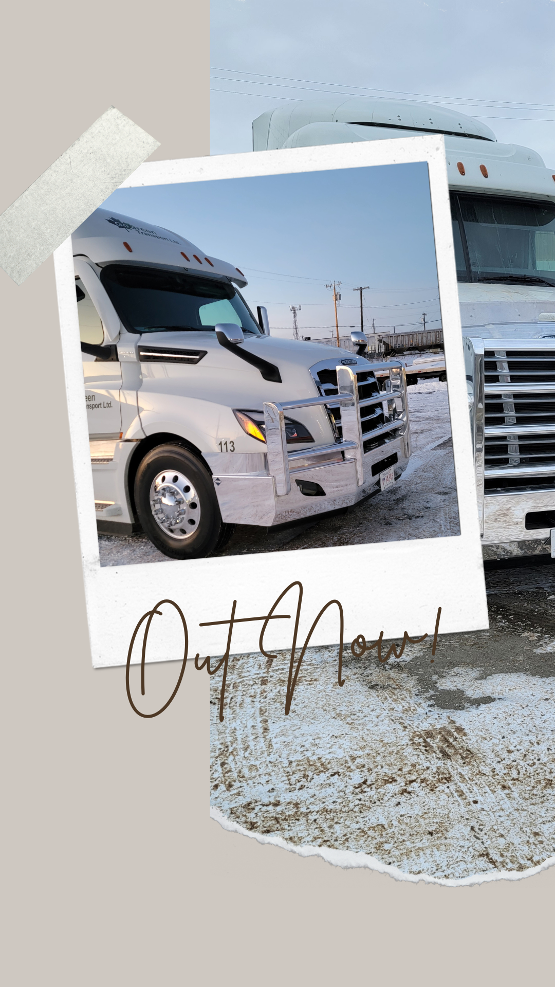 Freightliner Cascadia Grill Guard
